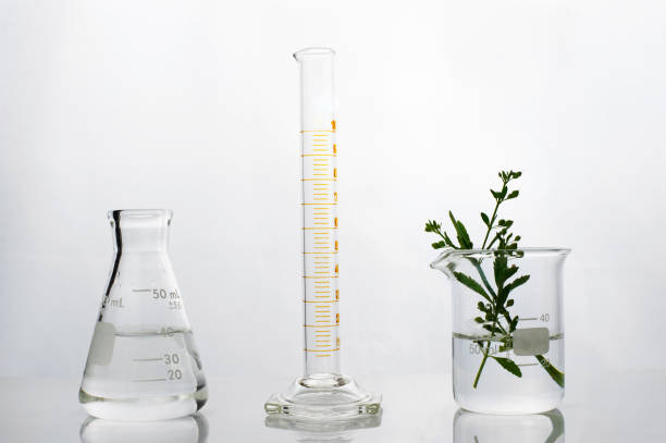istock flask cylinder beaker with green herbal medical science in white laboratory background 1197999521