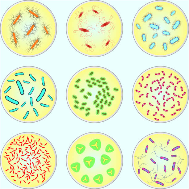 stylizowany obraz kolorowych bakterii - agar jelly obrazy stock illustrations