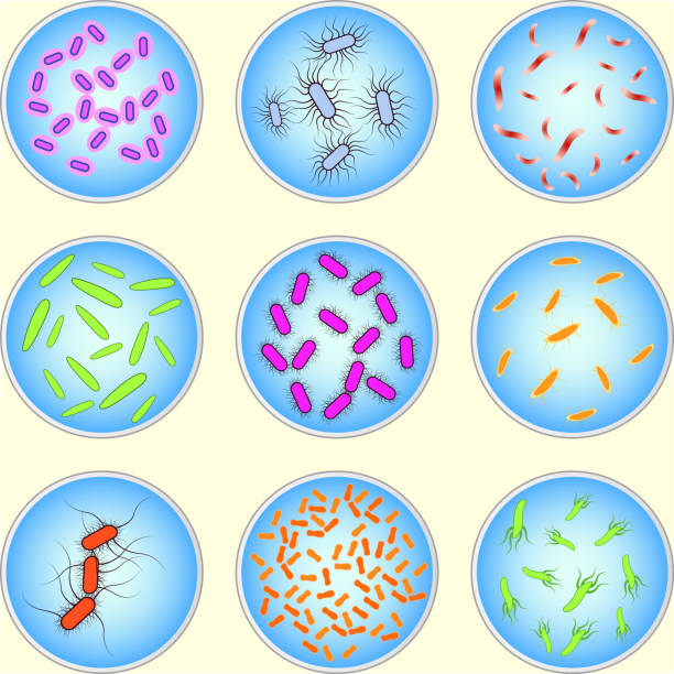 stylizowany obraz kolorowych bakterii - agar jelly obrazy stock illustrations