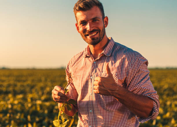 istock Farmer standing in soybean field examining crop at sunset. 1198012119
