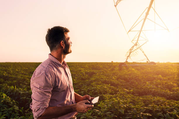 istock Young farmer holding tablet in his hands and adjusts irrigation system on soybean field at sunset. 1198012192