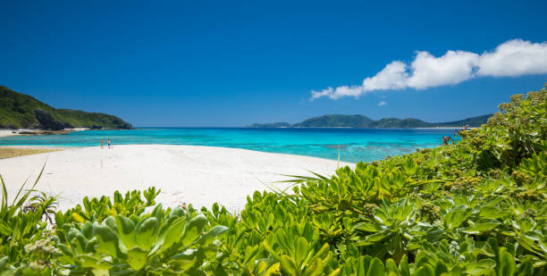istock Tropical paradise island beach 1198013233