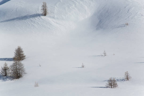 mountains in the snow