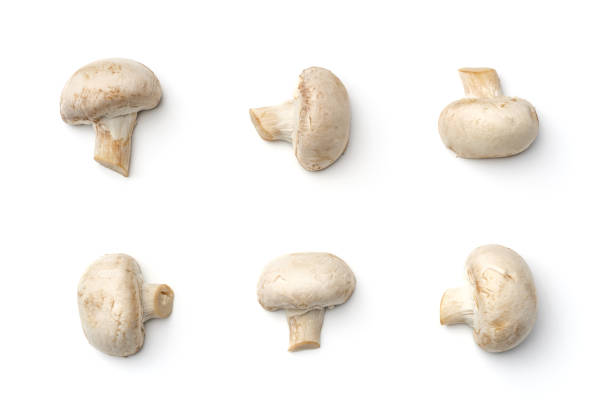 istock Mushroom champignon isolated on white background. Top view 1198016668