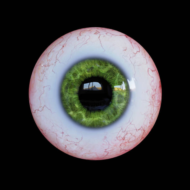 istock realistic human eyeball with green iris isolated on black background 1198016688