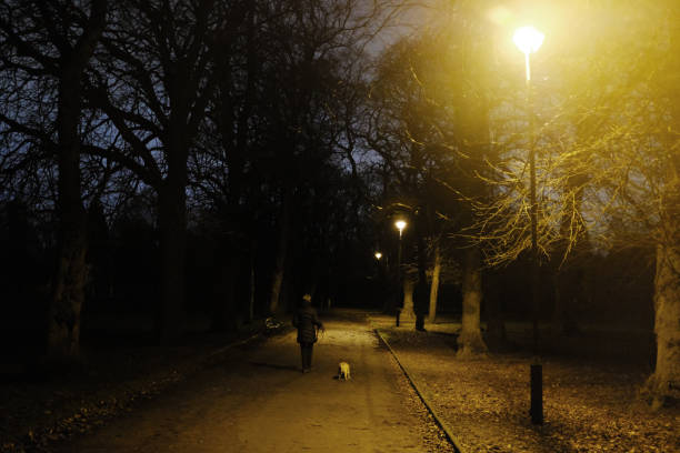 istock Vulnerable and Alone in Public park at Night 1198017310