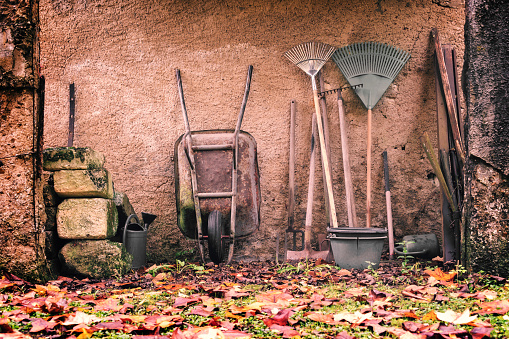 Rustic garden tools against a wall in autumn, vintage process