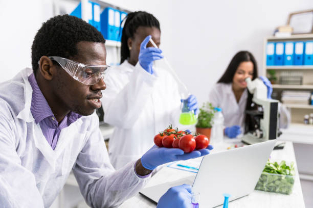 istock Laboratory technicians verify the quality of vegetables 1198025308