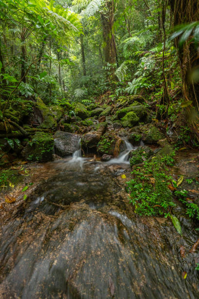 istock beautiful waterfall in green forest in jungle 1198030715