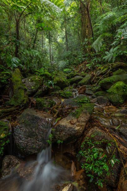 istock beautiful waterfall in green forest in jungle 1198030766