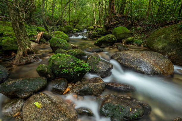 istock beautiful waterfall in green forest in jungle 1198031650