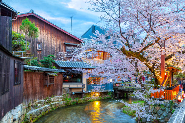 istock Shirakawa River is a river in Kyoto Prefecture, Japan. 1198033791