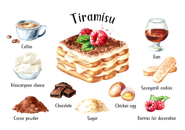 illustrations, cliparts, dessins animés et icônes de tiramisu, ensemble italien de recettes de desserts sucrés traditionnels. illustration dessinée de main d'aquarelle d'isolement sur le fond blanc - tiramisu dessert italian culture mascarpone cheese