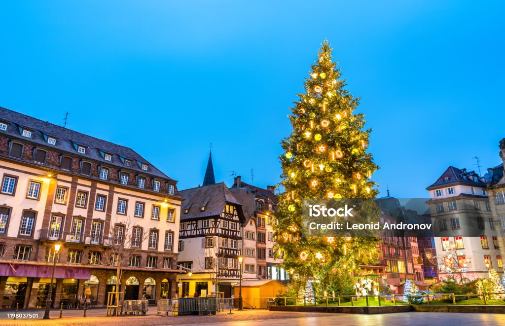 Christmas tree on Place Kleber in Strasbourg, France Christmas tree at the famous Christmas Market in Strasbourg - Alsace, France Christmas Stock Photo