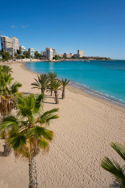 istock Playa Albufereta Beach in Alicante Spain 1198039654