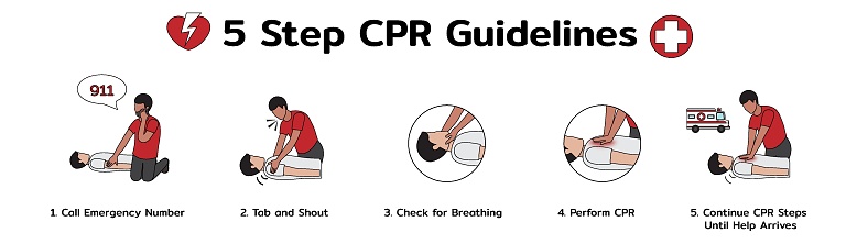 Infographic of 5 Step CPR Guidelines , Emergency First Aid Procedure  Healthcare and Medical, Rescue Process on Human , One Part of the Important Process Resuscitation