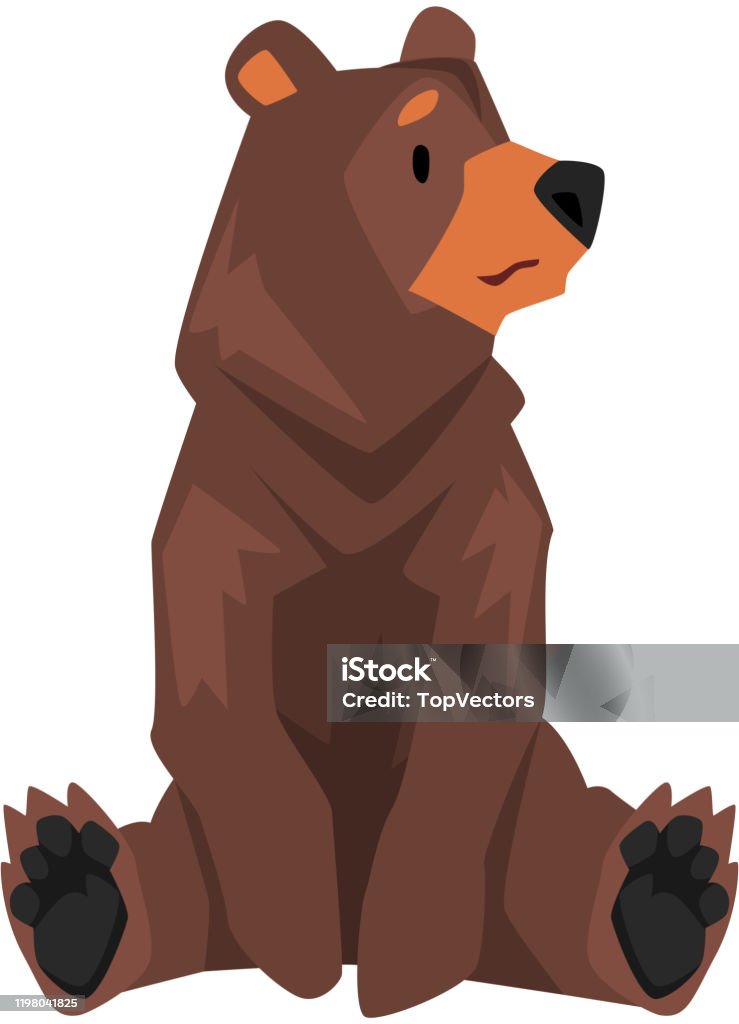 Ilustración de Sentado Marrón Grizzly Oso Animal Salvaje Personaje Dibujos  Animados Ilustración Vector y más Vectores Libres de Derechos de Oso -  iStock