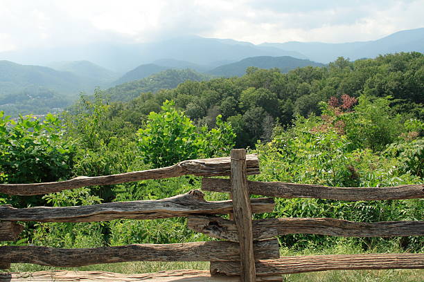 istock Wood Fence 119804184