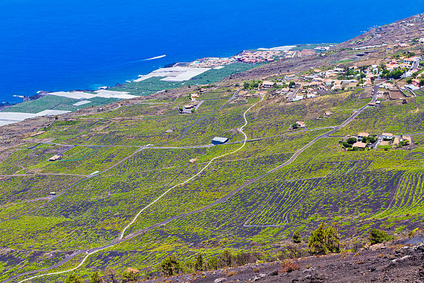 istock Low Vineyards On Volcanic Soil, La Palma 119804217