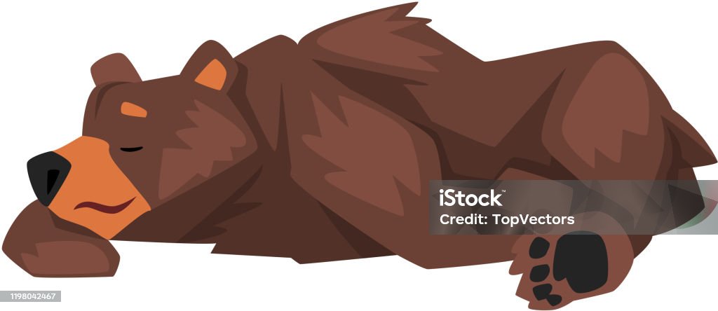 Ilustración de Lindo Dormir Marrón Grizzly Oso Animal Salvaje Personaje Dibujos Animados Vector Ilustración y más Vectores Libres de Derechos de Aire libre - iStock Ilustración de Lindo Dormir Marrón Grizzly Oso Animal Salvaje Personaje Dibujos Animados Vector Ilustración y más Vectores Libres de Derechos de Aire libre - iStock