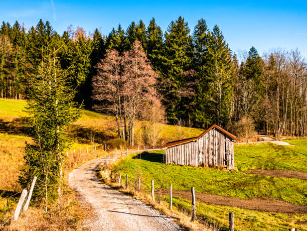 istock landscape murnauer moos - bavaria 1198044246