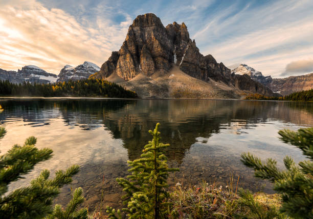 istock Rocky mountain with pine tree reflection on Cerulean lake in Assiniboine provincial park 1198044302