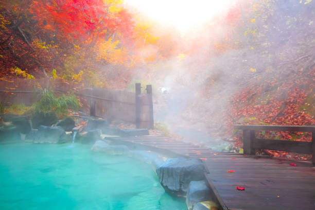 japanese hot springs onsen natural bath surrounded by red-yellow leaves. in fall leaves fall in yamagata. japan.natural mist and steam - fonte térmica imagens e fotografias de stock