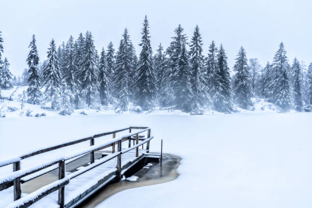 istock tranquil winter landscape in the Algau Alps 1198047160