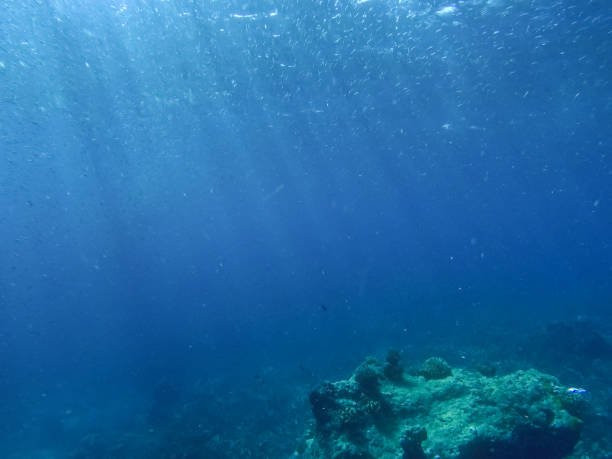 istock Rays of sunlight shining into sea, underwater view 1198047647