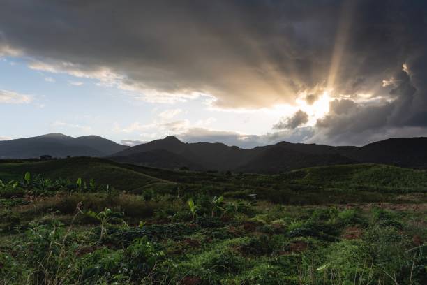 istock Sunset in Basse-Terre Island (Guadeloupe) 1198049072