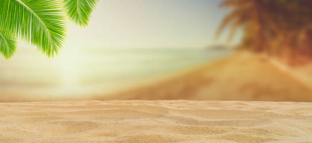 istock Sand beach with blurred seascape view in twilight time. 1198049907