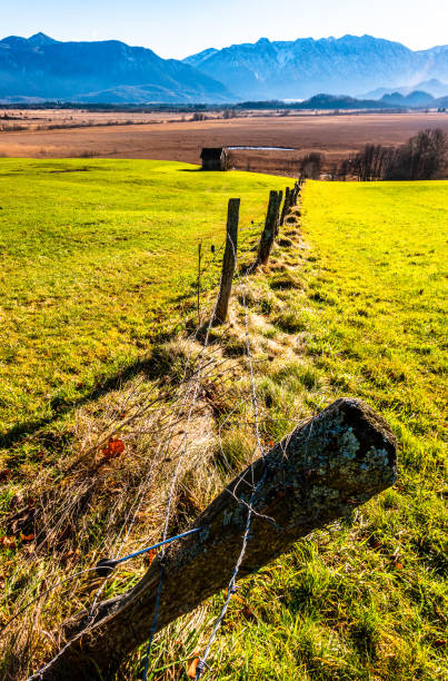 istock landscape murnauer moos - bavaria 1198051111