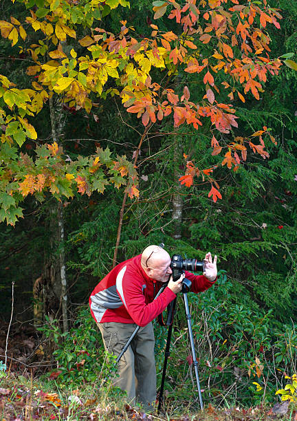 istock Outdoor Nature Photographer 119805515