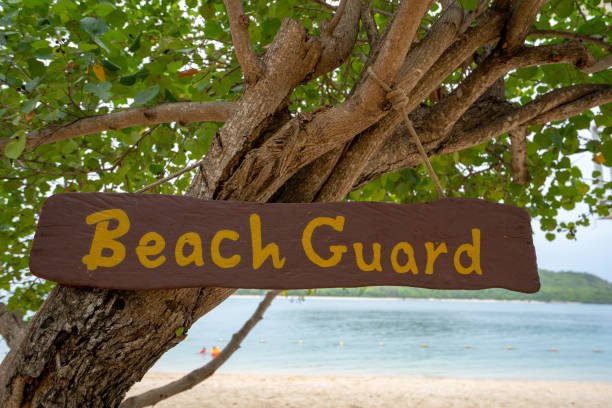 istock Beach guard on the tree and the sea in the background. 1198055842