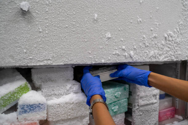 The researcher opens the storage box that keeps the sample in -80C refrigerator. To finds samples of protein used for the further experiment for biochemical laboratory. stock photo