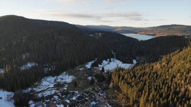 istock lake sunny day forest 1198056243