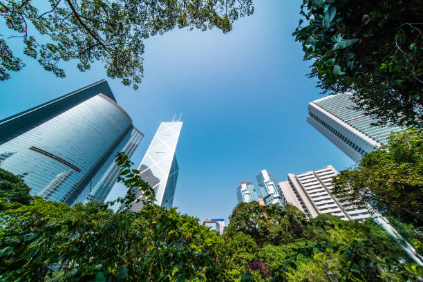 istock Portion of trees against office buildings 1198059132
