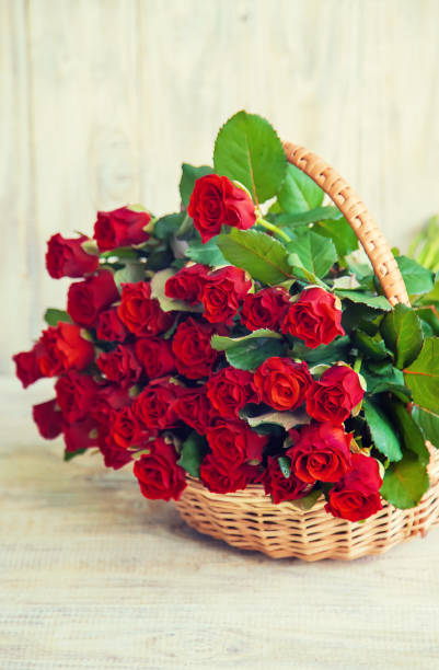 bouquet of beautiful red roses isolated on white background