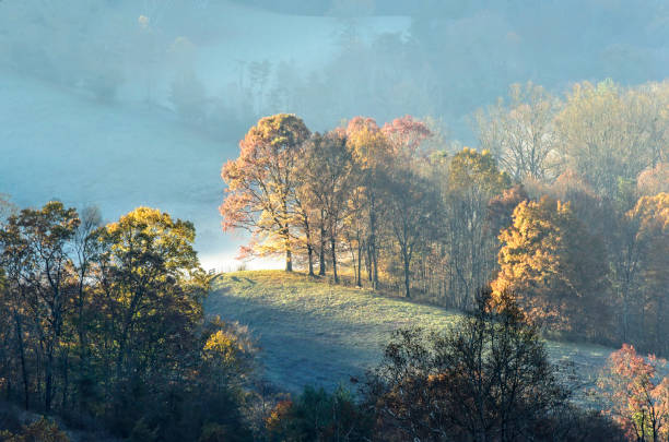 istock Early Morning Glow in the Valley 1198060292