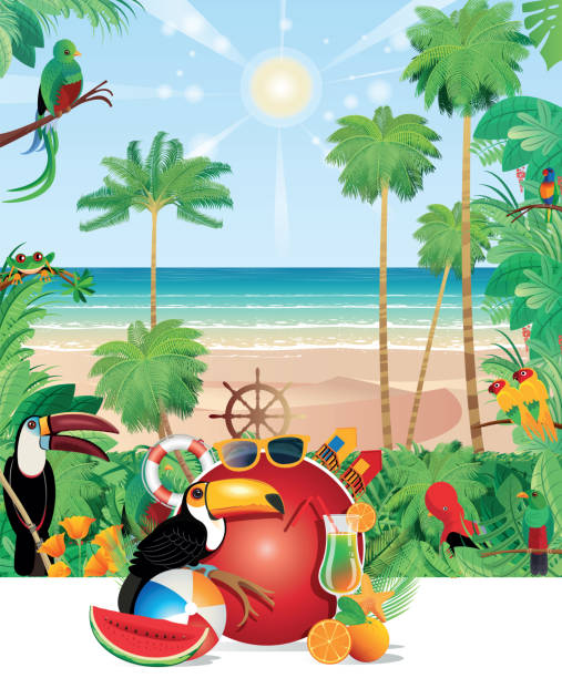 ilustrações de stock, clip art, desenhos animados e ícones de tropical beach - australia tunisia