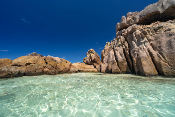 istock picture of tropical paradise 1198063932
