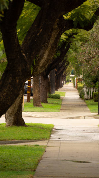 istock down town country sidewalk 1198064030