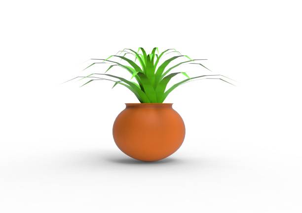 Plant in Pot on Isolated White Background, 3D Rendering