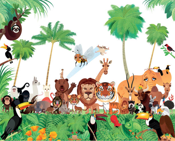 zwierzęta, afryka, azja, ameryka, ameryka południowa, europa, - tropical rainforest animal cartoon lion stock illustrations