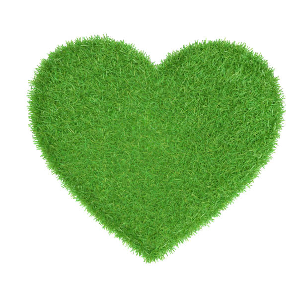 istock 3D render: A heart made from green grass isolated on white. Basis for wedding or valentines day concepts and ecological topics. 1198065984