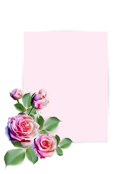 istock colorful roses decorated on pink paper background 1198067866