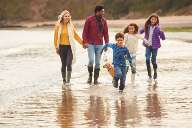 Multi-Cultural Family With Pet Dog Walking Along Beach Shoreline On Winter Vacation