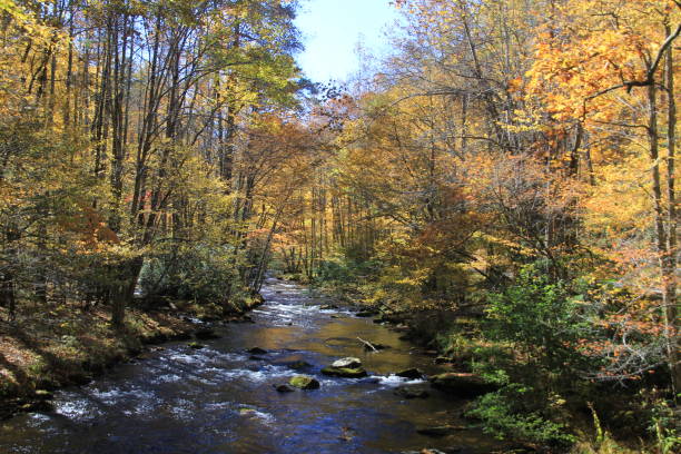 istock Crossing a stream in the Smokies 1198067965