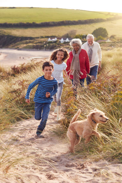 enkel und haustier hund erkunden sanddünen mit großeltern auf winter strandurlaub - family four people smiling autumn stock-fotos und bilder