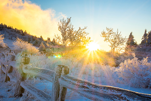 A golden sunrise view of Mt. Iwate in North Japan with snow covered forest and hills in the foreground.